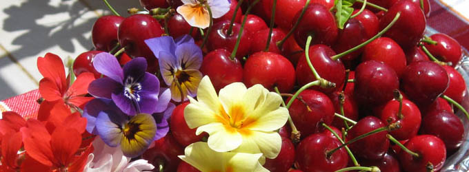 Offerte Maggio per Campo Felice...